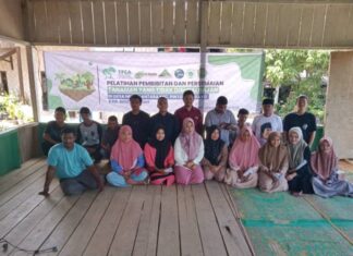 Yayasan AGC Latih Tata Cara Semai Bibit Lemon untuk Masyarakat Yayasan AGC Latih Tata Cara Semai Bibit Lemon untuk Masyarakat