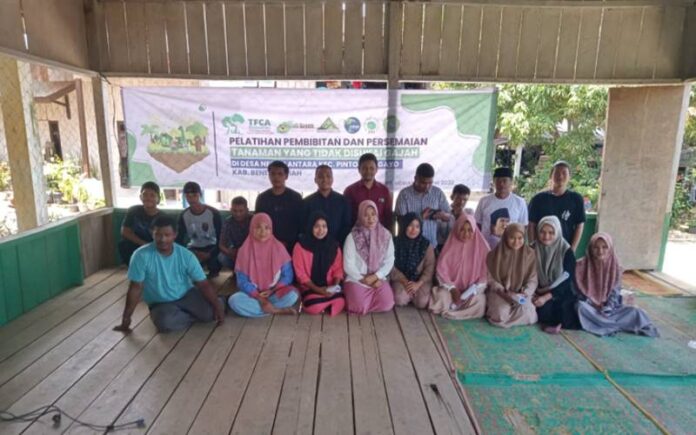 Yayasan AGC Latih Tata Cara Semai Bibit Lemon untuk Masyarakat