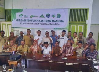Yayasan AGC Sebut Mitigasi Konflik Gajah dan Manusia adalah Urusan Bersama