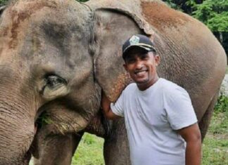 Aceh Green Kritisi Menteri AHY, Alihkan Kawasan Satwa jadi Lahan Eks Kombatan GAM Alihkan Kawasan Satwa jadi Lahan Eks Kombatan GAM