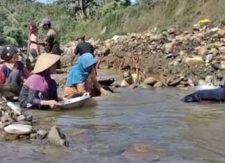 Aktivis Minta Lembaga Adat Kawal Penambangan Emas di Krueng Bugeng Peudada Aktivis Minta Lembaga Adat Kawal Penambangan Emas di Krueng Bugeng Peudada