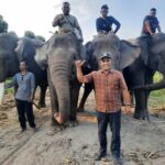 Yayasan AGC Apresiasi Langkah Presiden Prabowo dalam Konservasi Gajah Sumatera di Aceh Yayasan AGC untuk konservasi gajah di Aceh