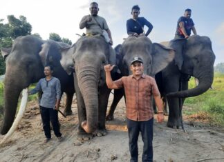 Yayasan AGC Apresiasi Langkah Presiden Prabowo dalam Konservasi Gajah Sumatera di Aceh Yayasan AGC untuk konservasi gajah di Aceh