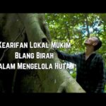 Dari Pembalak Liar Jadi Penjaga Rimba: Kisah Hutan Adat Mukim Blang Birah Aceh