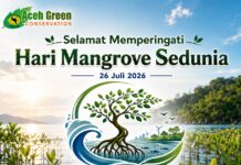 Memperingati Hari Mangrove Sedunia 2026: Menjaga Mangrove, Mengamankan Generasi Masa Depan Memperingati Hari Mangrove Sedunia 2026: Menjaga Mangrove, Mengamankan Generasi Masa Depan