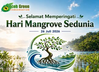 Memperingati Hari Mangrove Sedunia 2026: Menjaga Mangrove, Mengamankan Generasi Masa Depan Memperingati Hari Mangrove Sedunia 2026: Menjaga Mangrove, Mengamankan Generasi Masa Depan